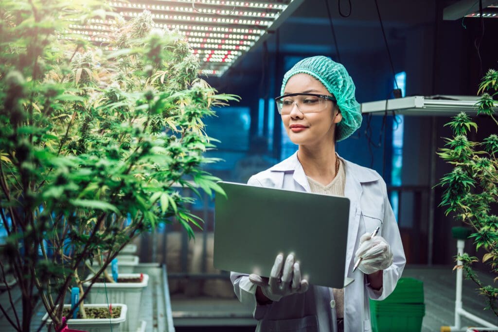 cannabis industry access control system